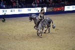 Quadrille - 00790